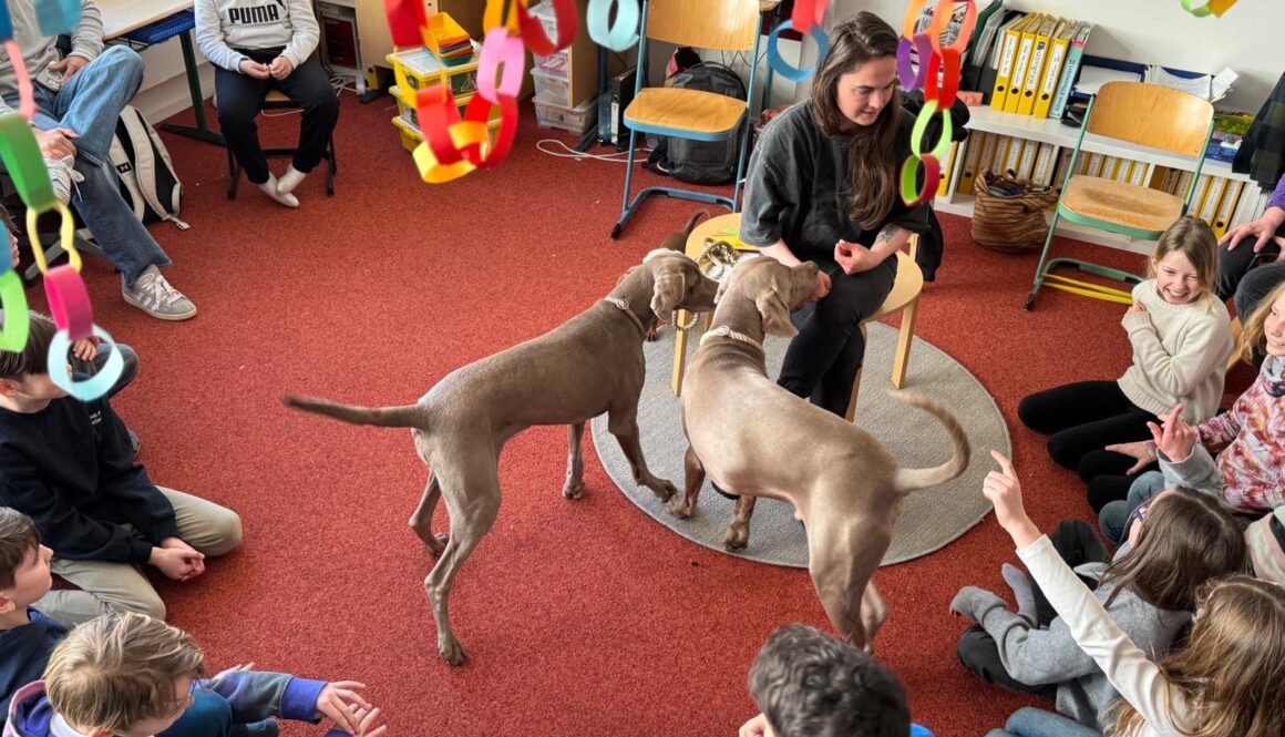 62a7af4e-0bde-4ddc-8e48-73d7d74b73fe