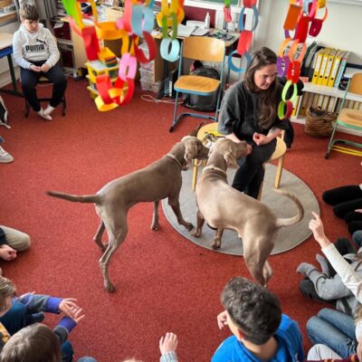 62a7af4e-0bde-4ddc-8e48-73d7d74b73fe 62a7af4e-0bde-4ddc-8e48-73d7d74b73fe